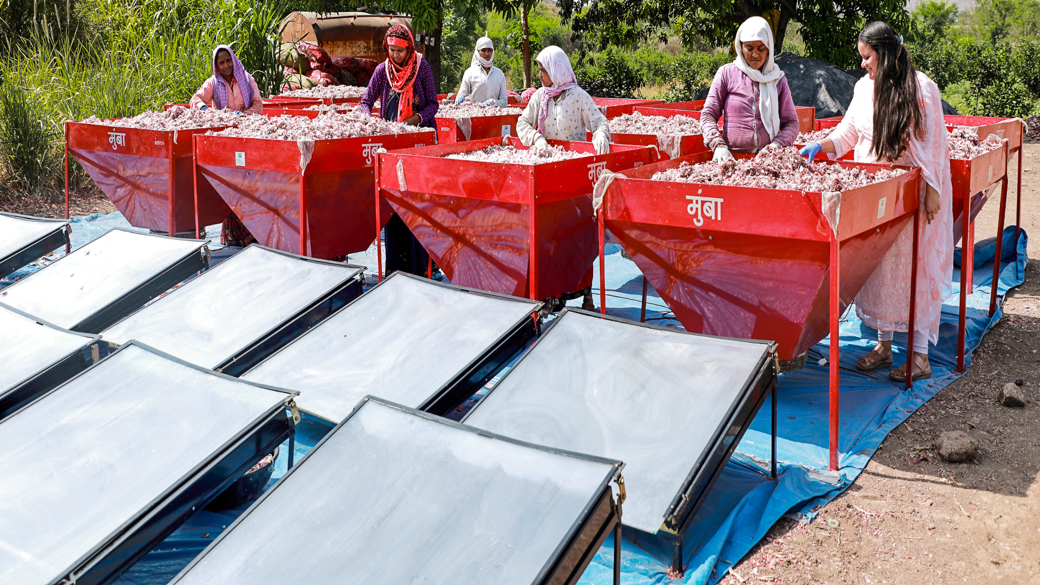 Women drying food using the solar dryers