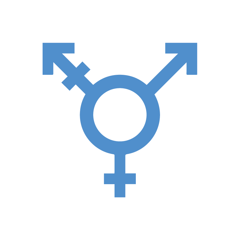 LGBT+ icon created by Becris from Noun Project
