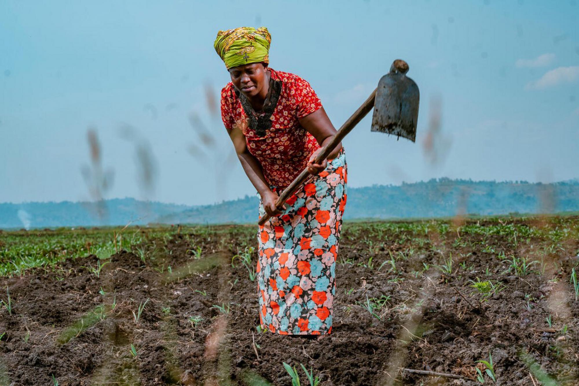 Why the Global Food Crisis Is Closer Than You Think