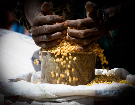 Eight Numbers Showing How WFP Is Innovating To Disrupt Hunger | WFP ...