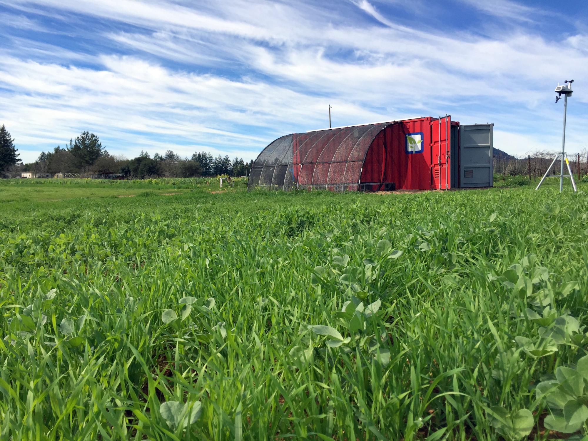 Farm community. Контейнерное земледелие. Солнечные панели в сельском хозяйстве. Коробки Садоводство. Ферма off.