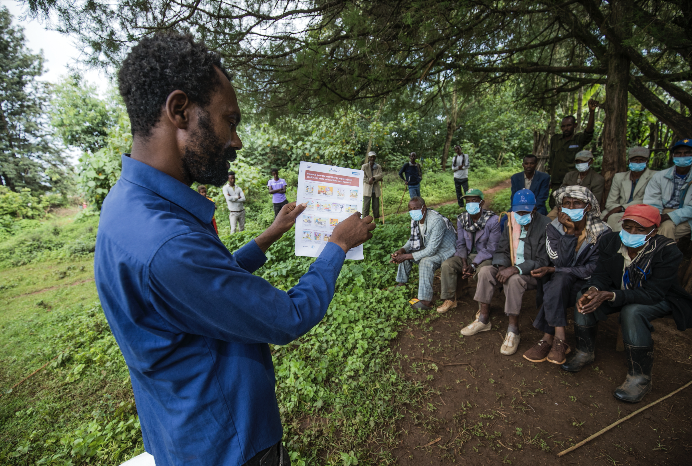 Training smallholder farmers