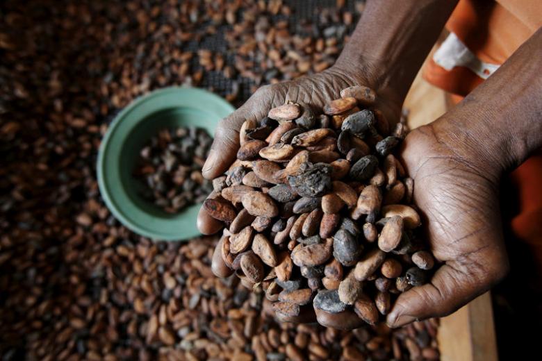 A Cocoa farmer holds cocao beans in San-Pedro, Côte d’Ivoire. Photo:WFP/Reuters/Thierry Gouegnon