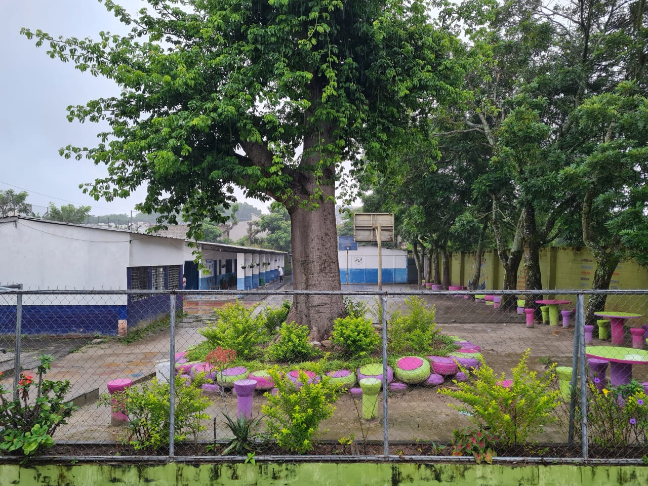 School garden