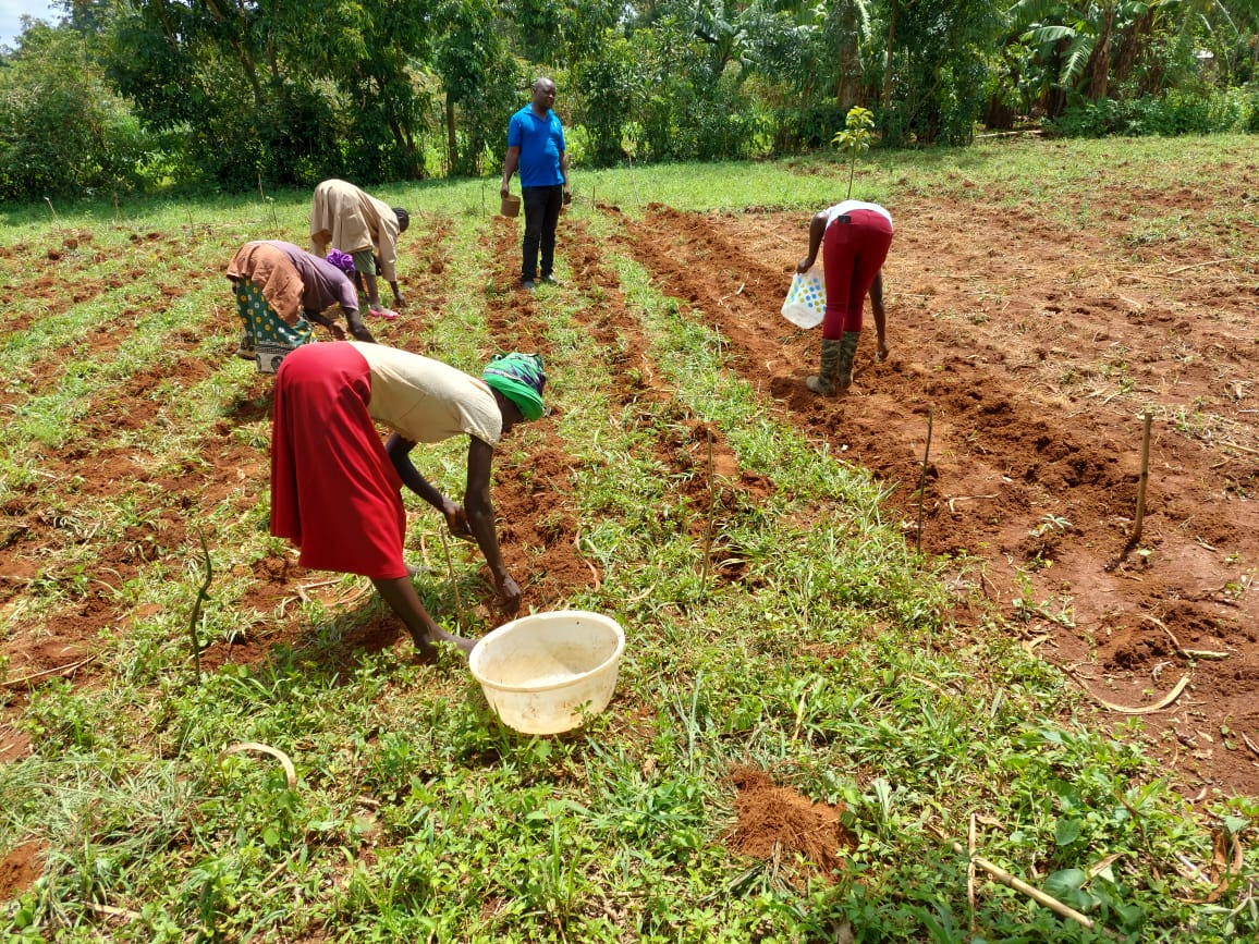 Farmers working in the field. Photo: WFP/Claire Baker and Dorcas Kemboi