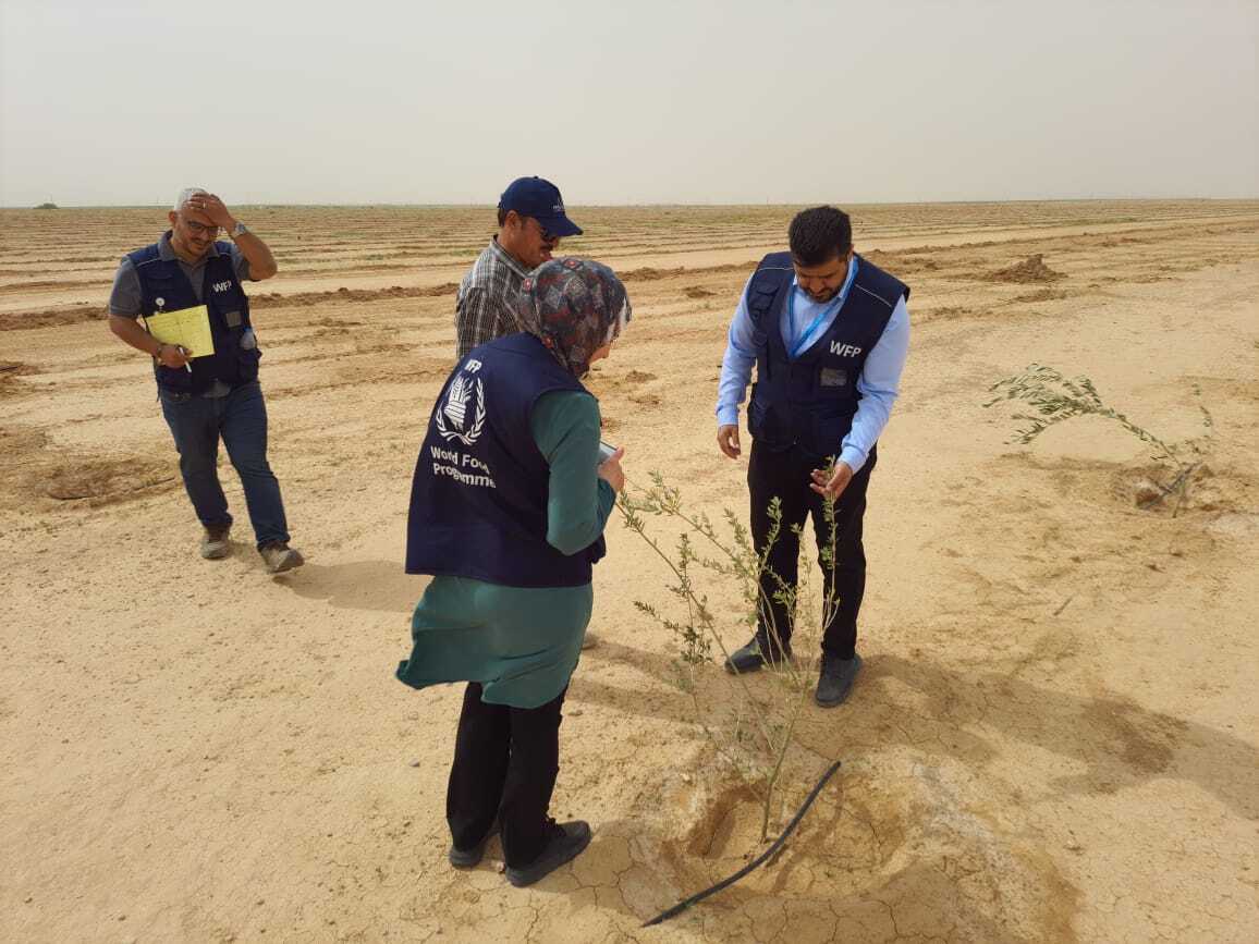 The pilot site close to Anbar, Iraq.