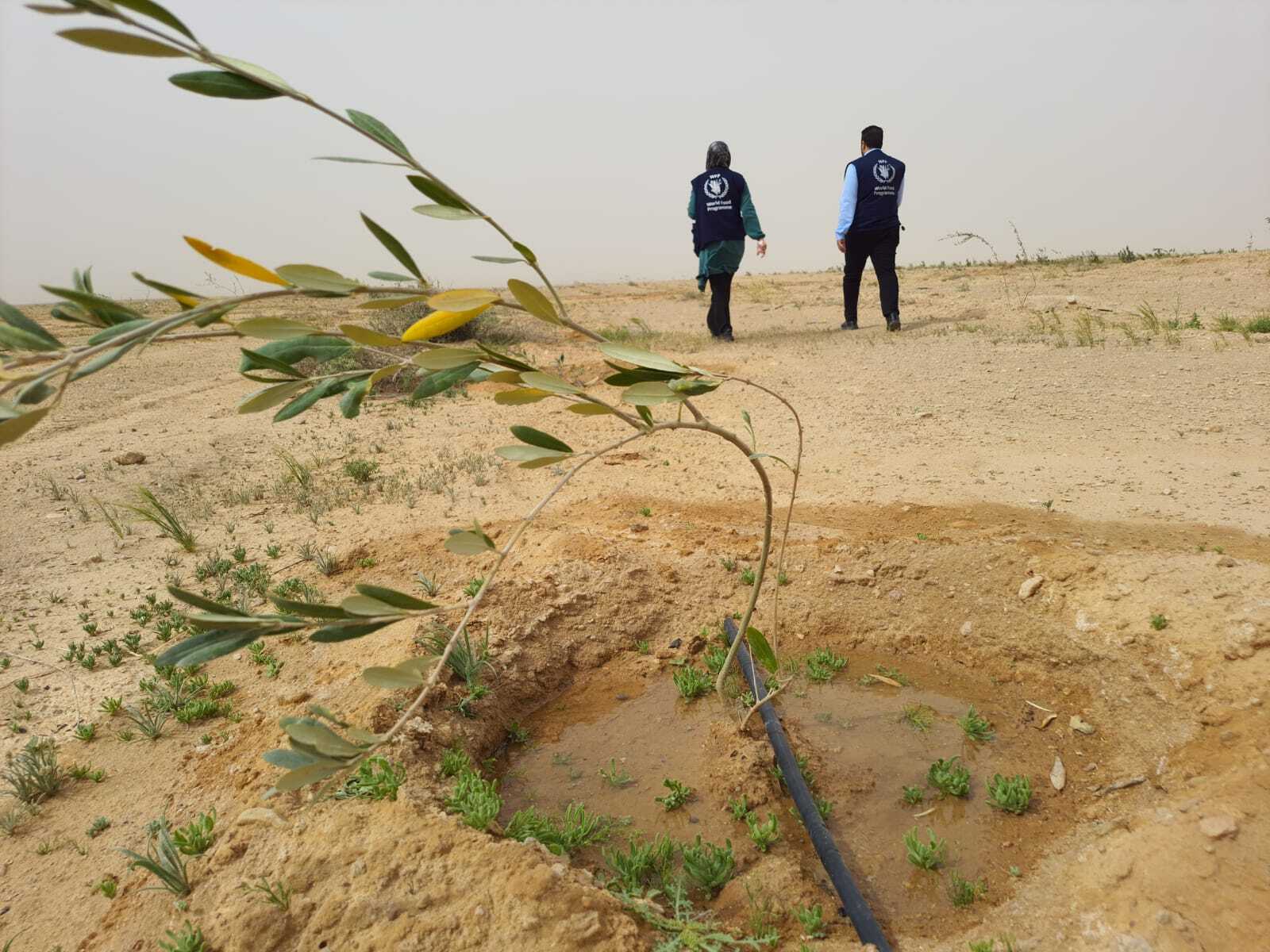 The pilot site close to Anbar, Iraq.