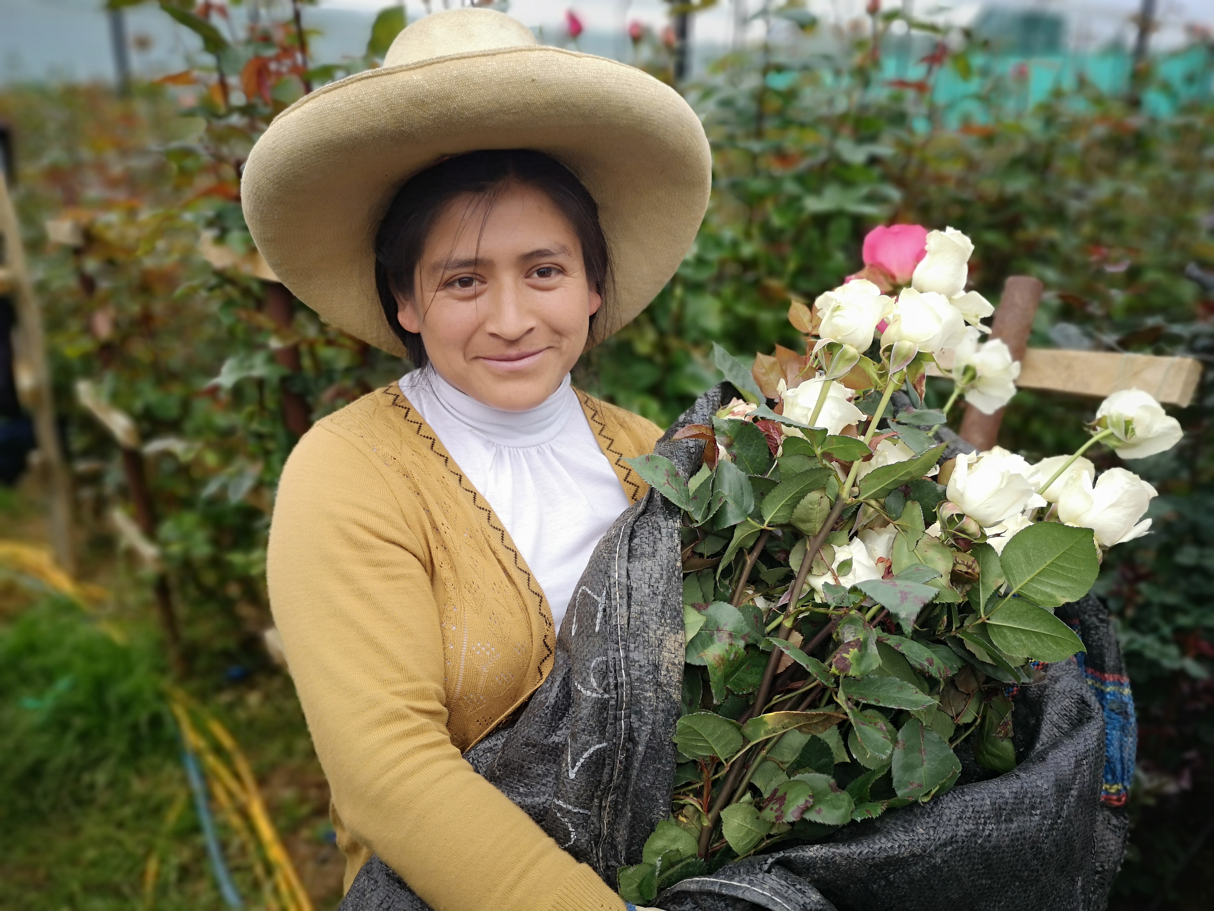 Silvia Cueva, a member of the Savings Group FACDE Ebenezer in Cajamarca, Peru