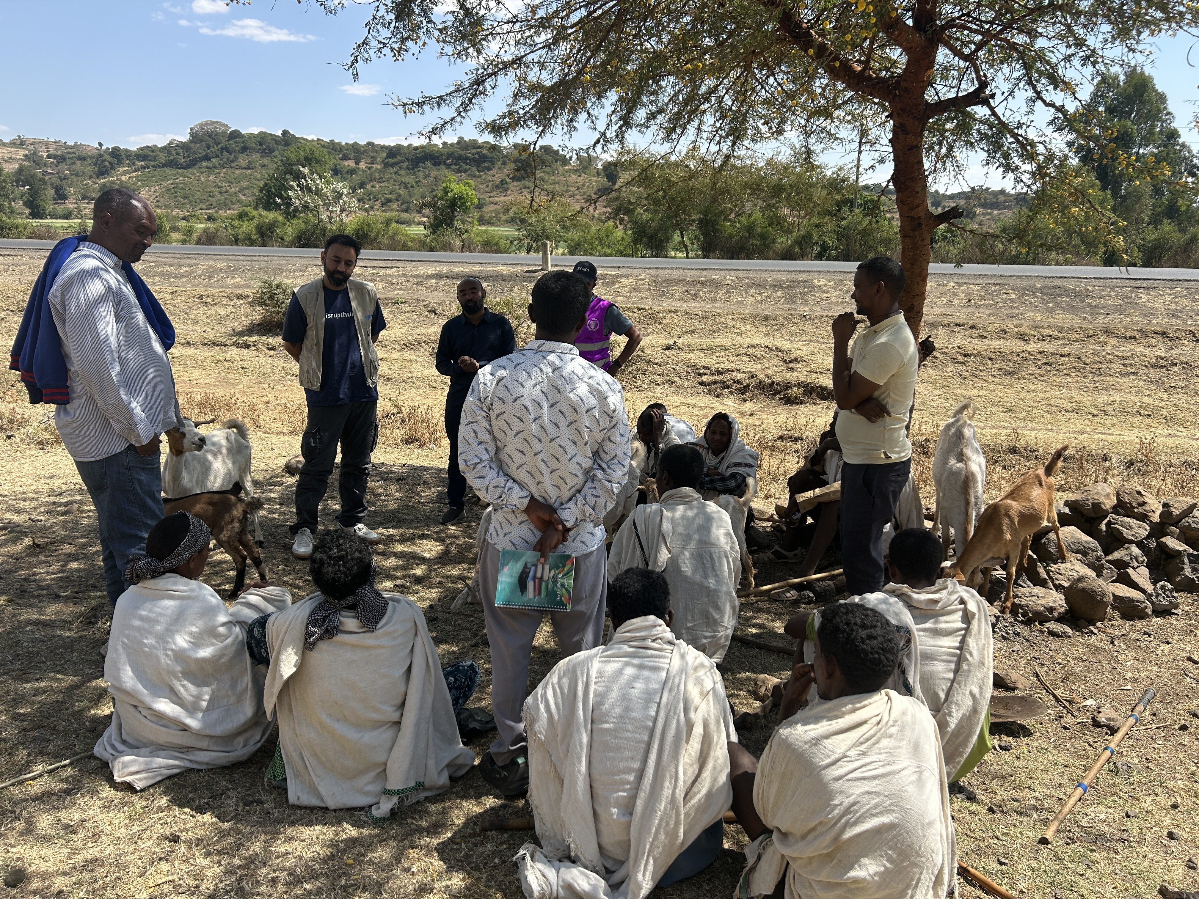 A group of people gather outdoors under a tree with a WFP Innovation Accelerator colleague, some sitting and some standing, engaged in discussion. Several goats are nearby, and the setting is a dry, rural landscape in Ethopia with a road and green hills in the background.
