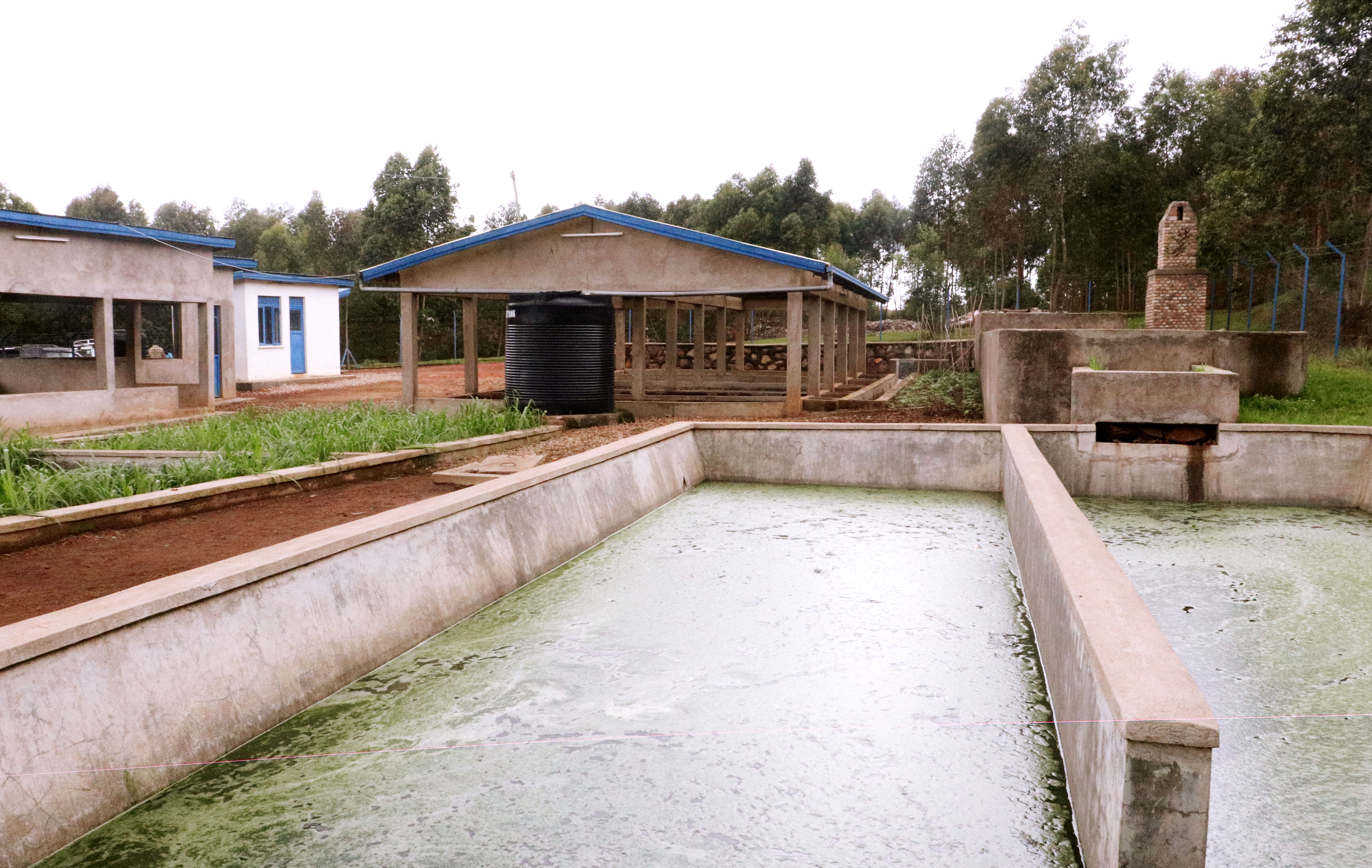 A section of the DEFAST plant which shows liquid waste under treatment at the plant in Gicumbi. Photo: WFP/Jean Pierre Bucyensenge