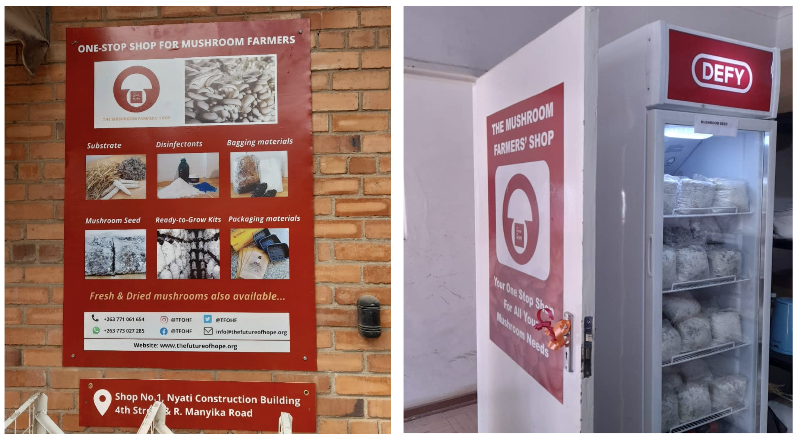 On the left, a poster for the one-stop shop for mushroom farmers; on the right, a refrigerator with mushroom inside