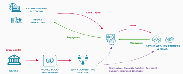 Diagram showing how SheCan wotks