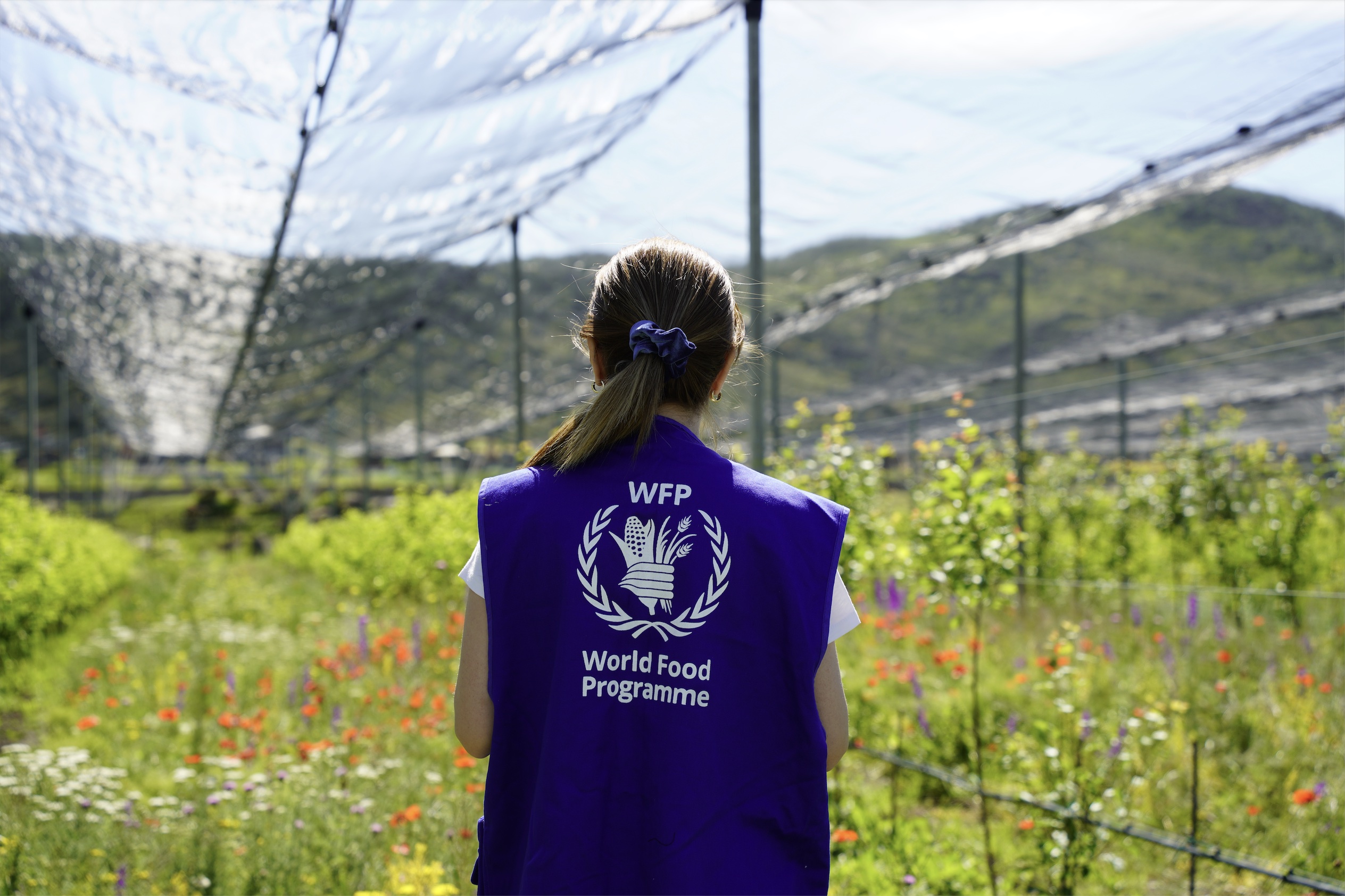 A WFP staff member looking out across a farm. Photo: WFP/Mariam Avetisyan