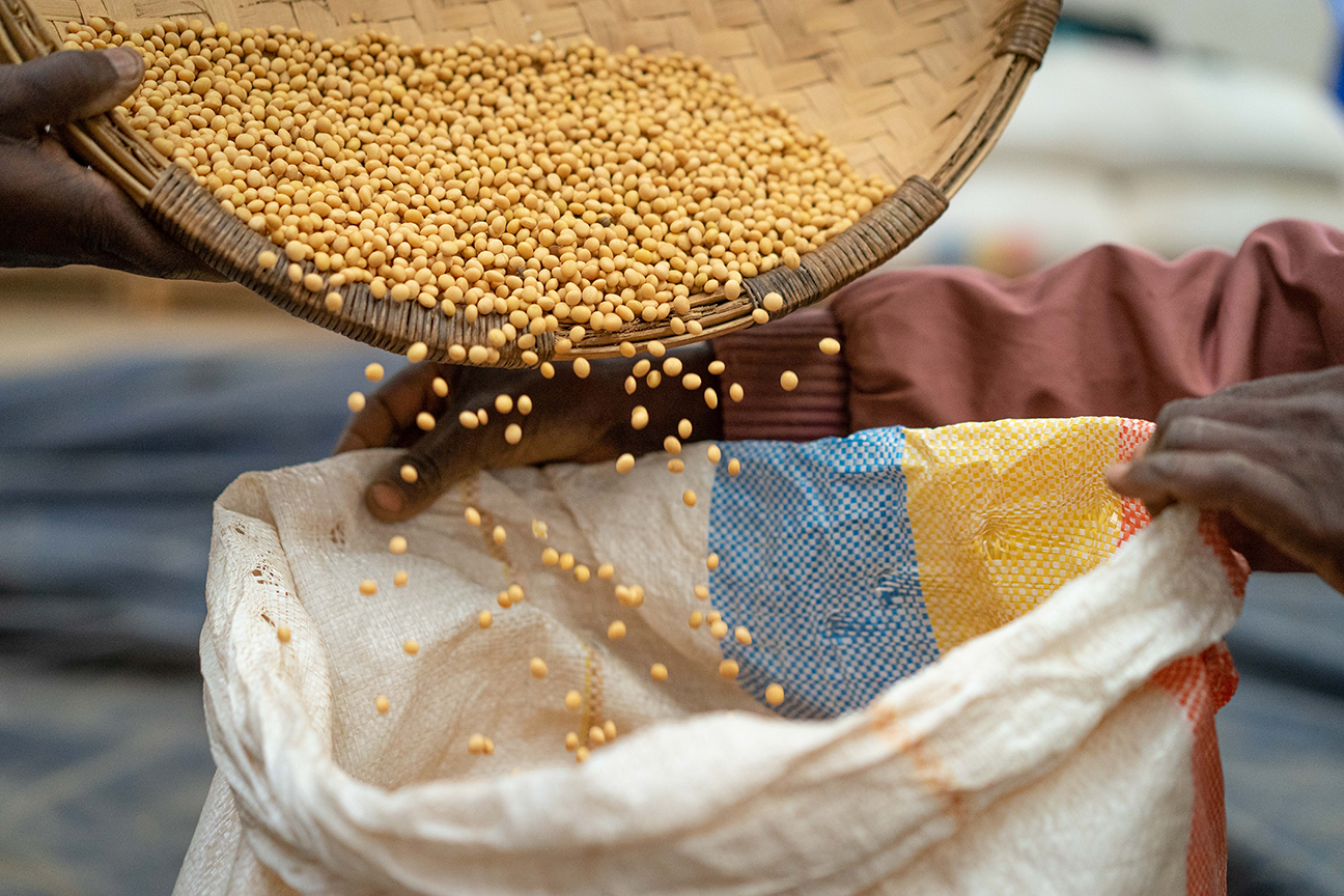 Manual threshing methods are inefficient and limit the productivity of the farm.