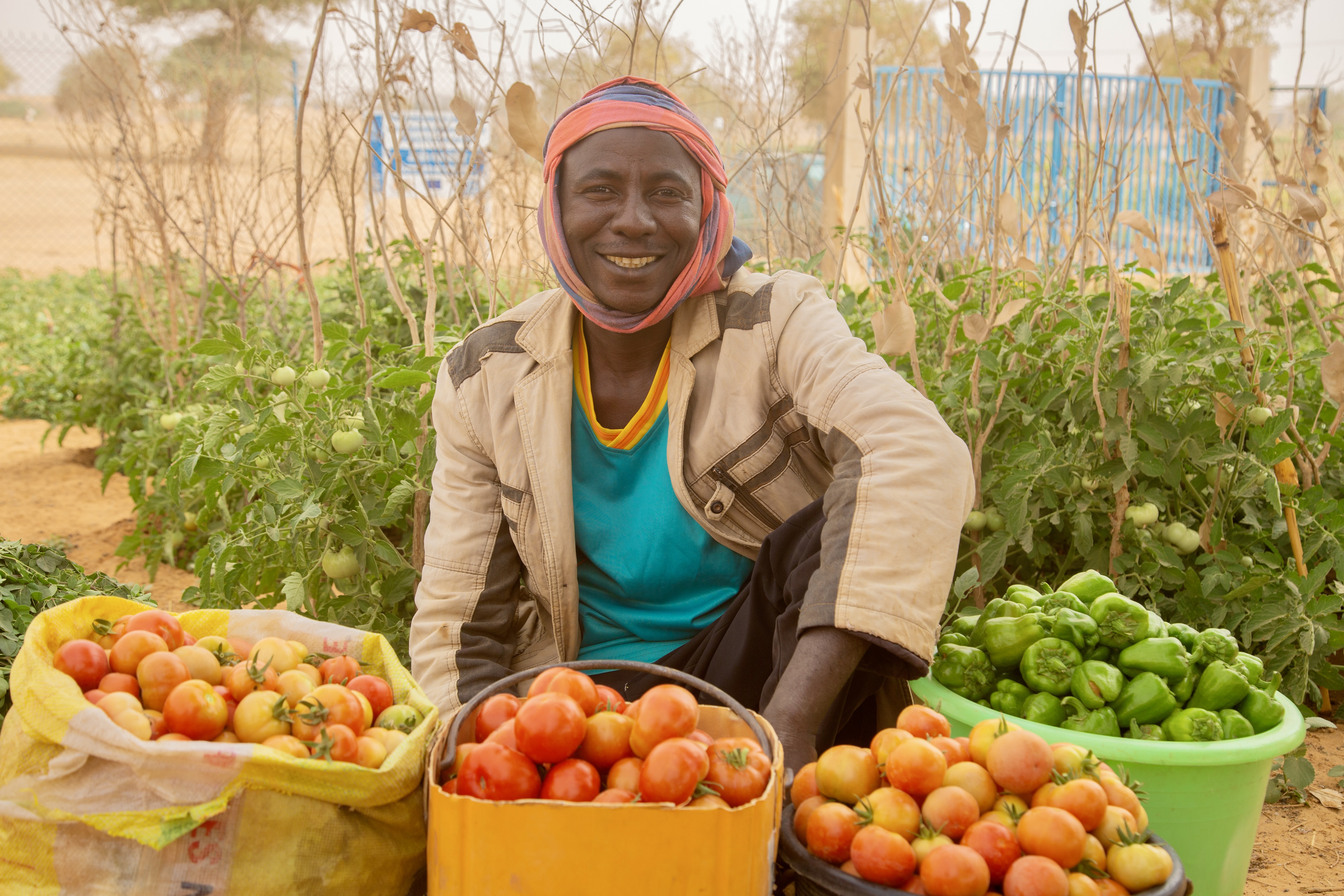 A man sitting amongst buckets of tomatoes and peppers smiles to camera.