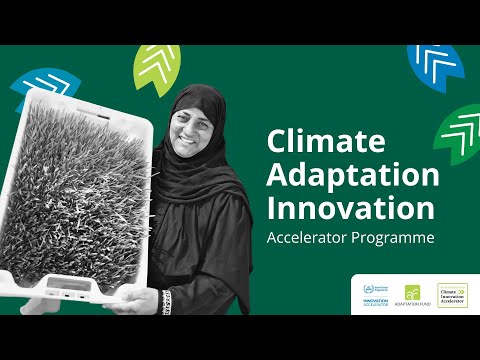 Knowledge Wfp Innovation