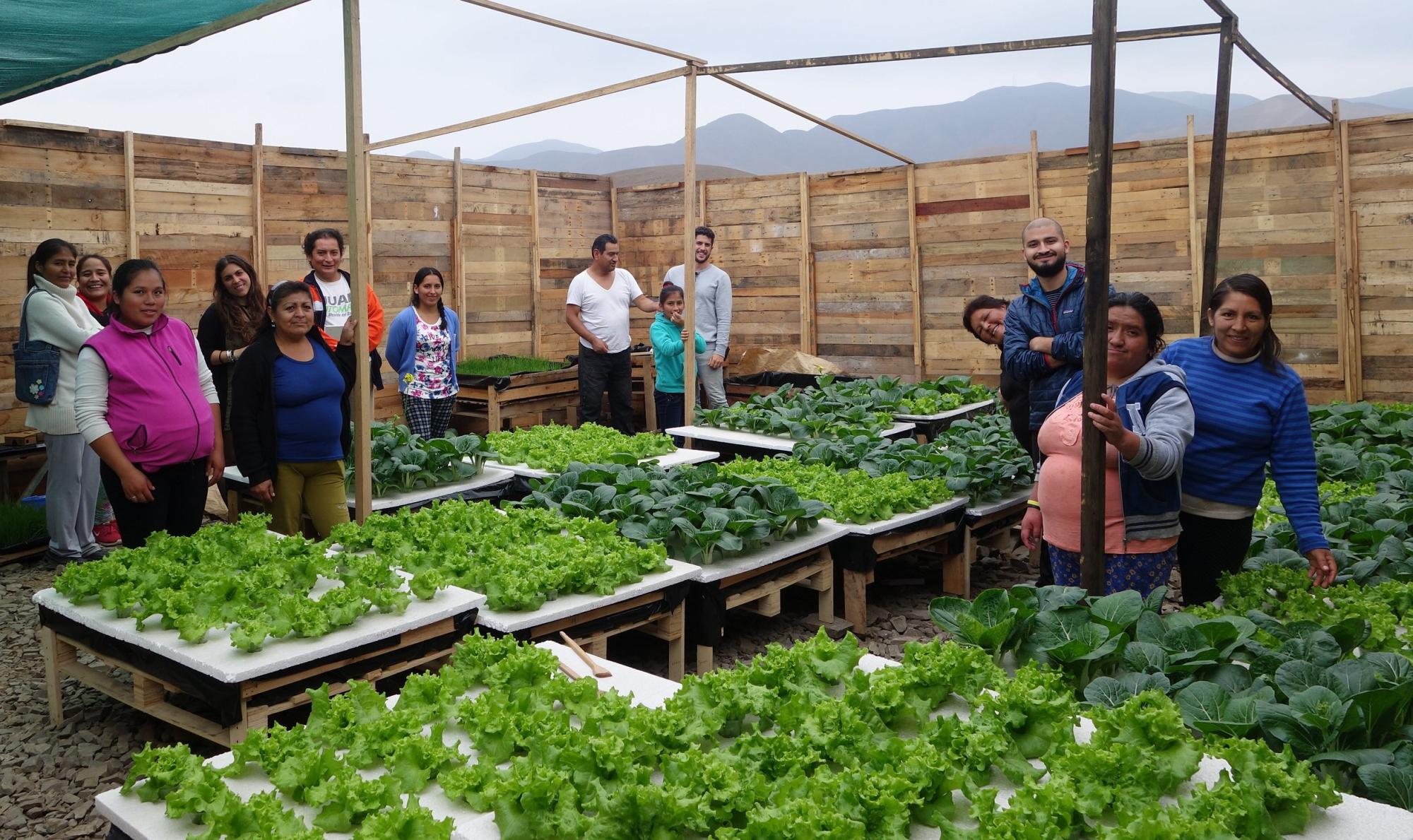 Team member Sophie Muller