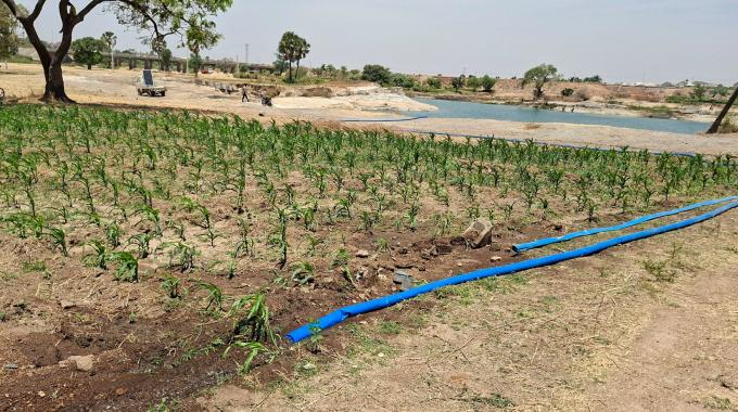 Nimsy Agro Solar Concept,  an innovative solution in Nigeria.