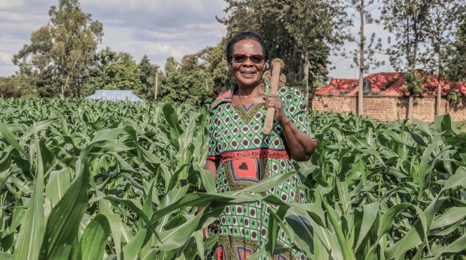 Hannah Karanja in her maize farm, Busia, Kenya (1)-min.jpg Hannah Karanja stands in her maize farm holding a wooden tool