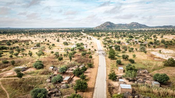 Aerial view of a rural landscape with cattle walking on the street
