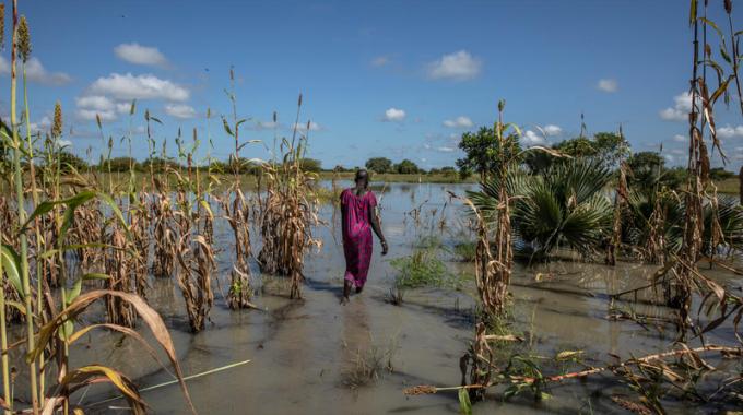 A woman walks through a flooded farm