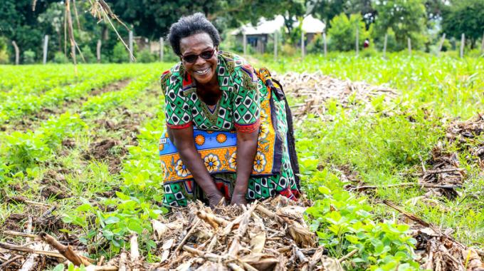 Hannah Karanja in her Soya farm in Busia, Kenya