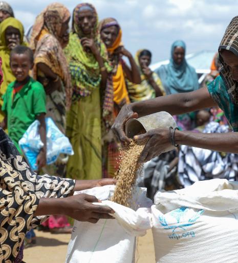 Women receiving grains. Photo: WFP/Michael Tewelde
