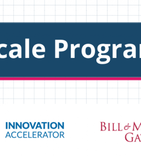 Transition to Scale Programme 2021