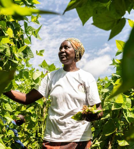Impact at Scale: Farm to Market Alliance’s Journey to Growth as a Catalyst for Agricultural Innovation