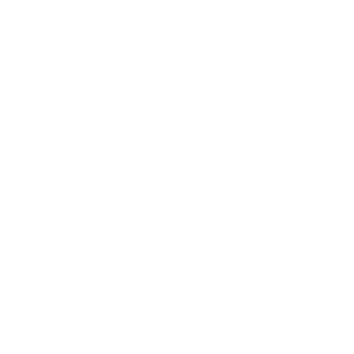 idea