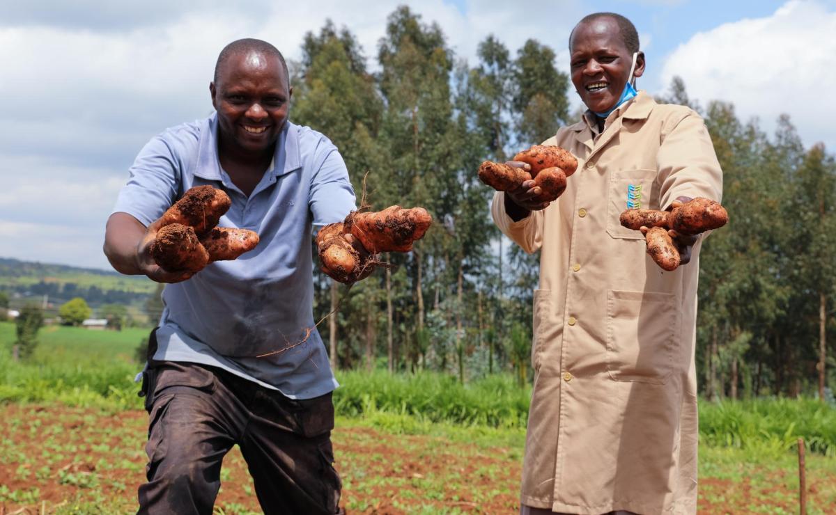 two farmers supported by FTMA holding potatoes 
