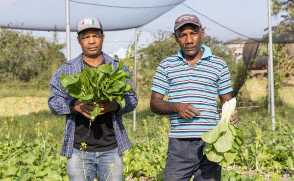 Dos hombres con verduras en un campo.