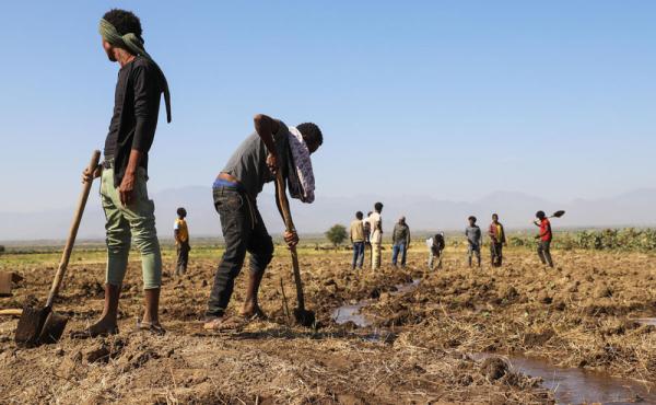  A borehole irrigation scheme and farmers working on their fields in Southern Tigray, Ethiopia. Photo: Michael Tewelde