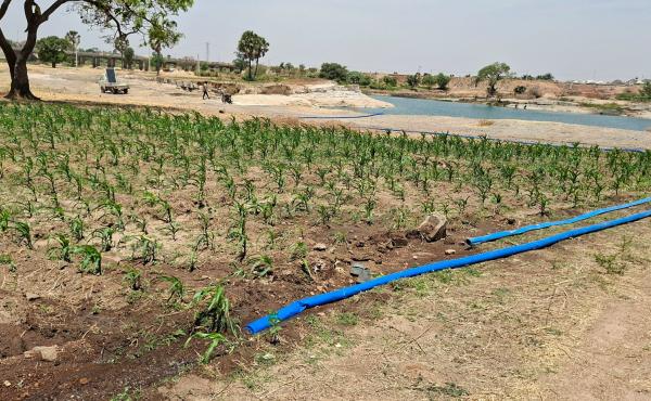 Nimsy Agro Solar Concept
