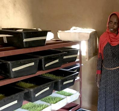 Arafa grows food