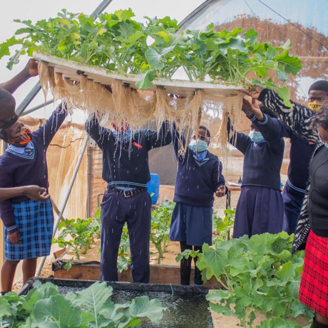 Learners from Woodlands B Primary School at Hydroponics Garden_WFP_PaulMboshyaJr 