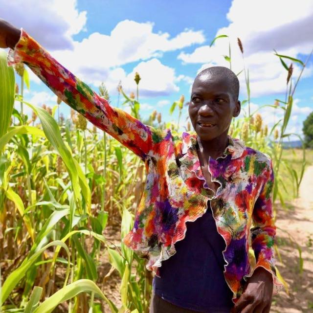 Woman in front of maize field