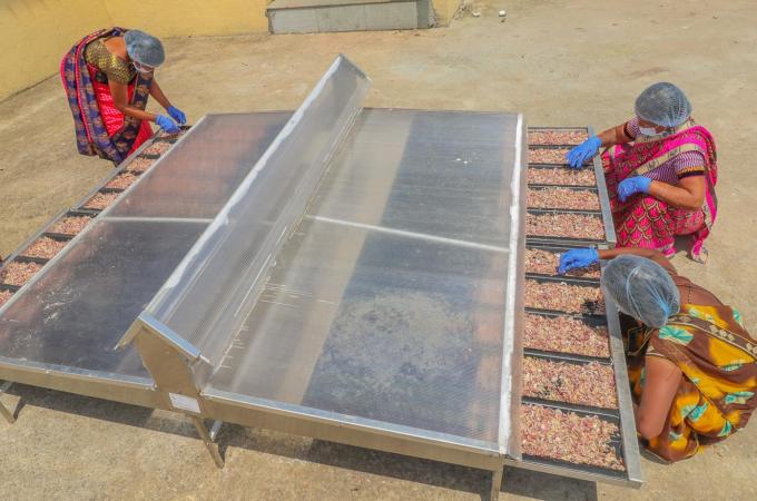 Women drying foods using a solar dryer