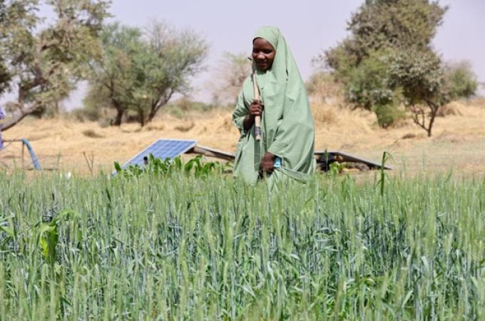 Crop Yield Early Estimation supports WFP by blending AI, satellite imagery and advanced crop and climate models to deliver crop forecasts for smallholder farmers. | Photo: WFP